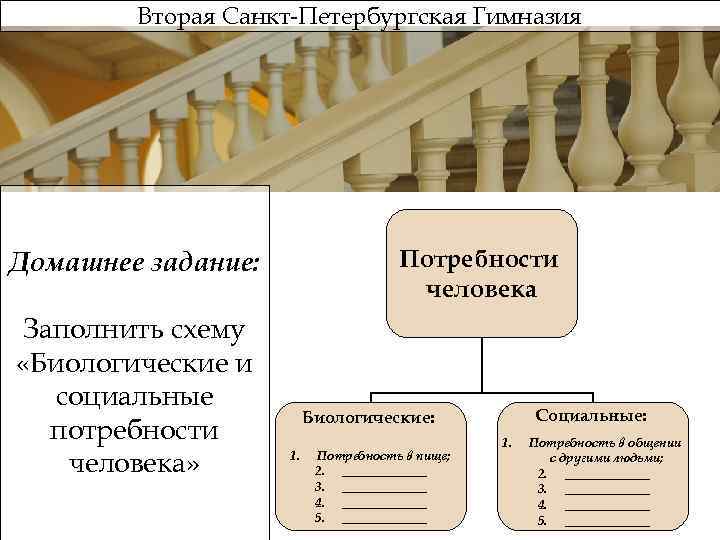 Вторая Санкт-Петербургская Гимназия Потребности человека Домашнее задание: Заполнить схему «Биологические и социальные потребности человека»