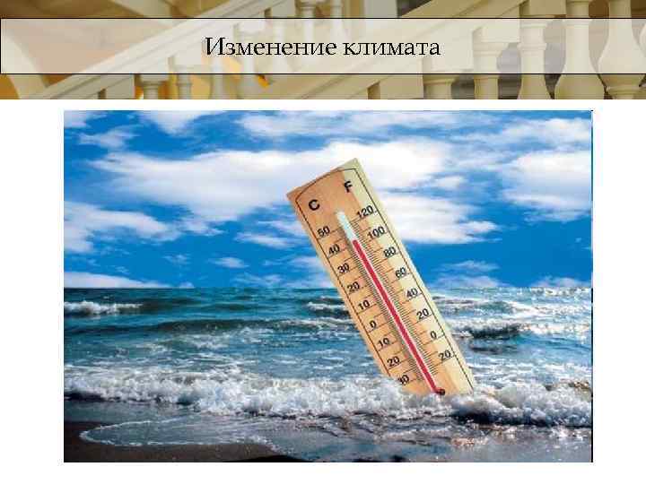 Изменение климата 