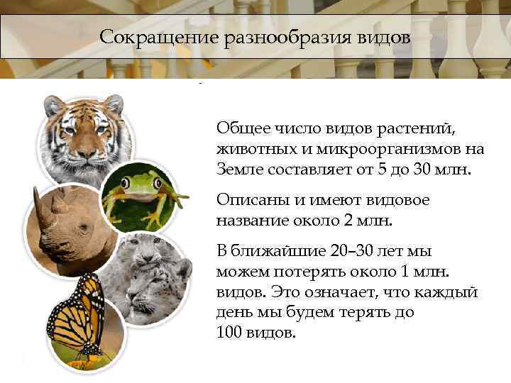 Сокращение разнообразия видов Общее число видов растений, животных и микроорганизмов на Земле составляет от