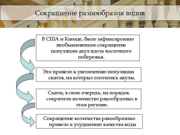 Сокращение разнообразия видов В США и Канаде, было зафиксировано необыкновенное сокращение популяции акул вдоль