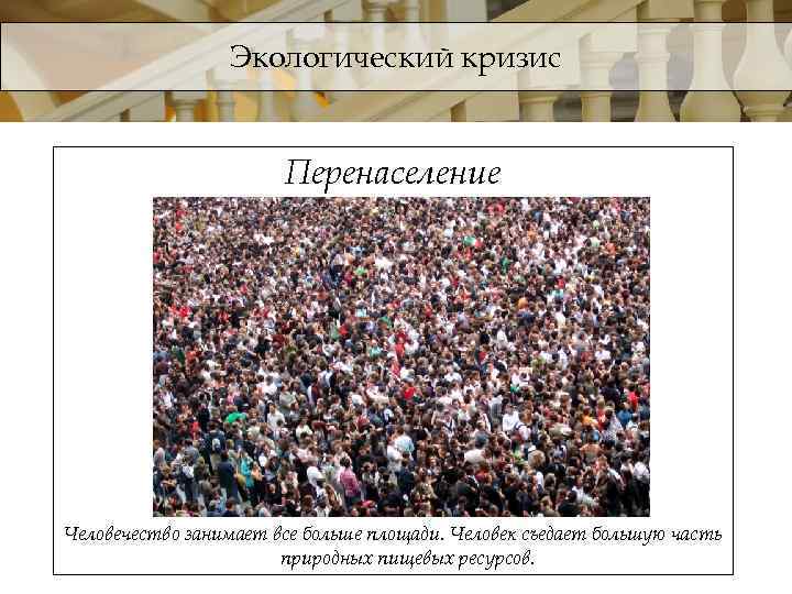 Экологический кризис Перенаселение Человечество занимает все больше площади. Человек съедает большую часть природных пищевых