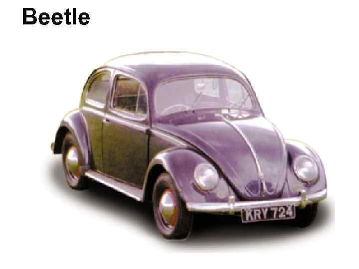 Beetle 