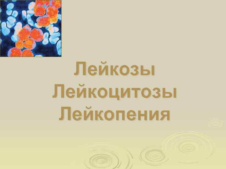 Лейкозы Лейкоцитозы Лейкопения 