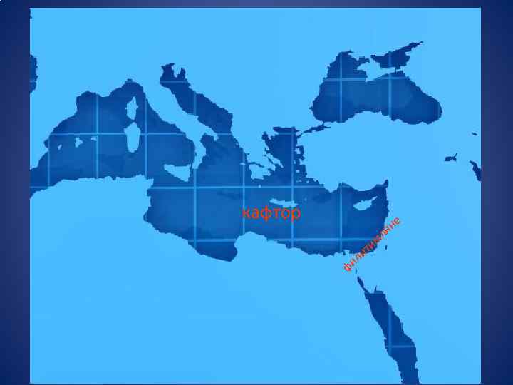 кафтор т мл и ф и ил не я 