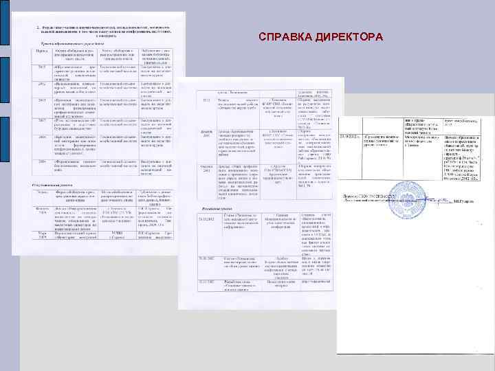 СПРАВКА ДИРЕКТОРА 