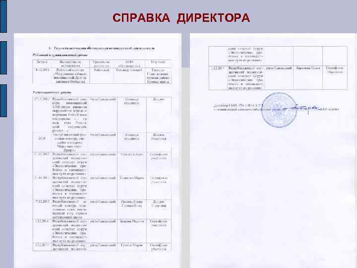 СПРАВКА ДИРЕКТОРА 