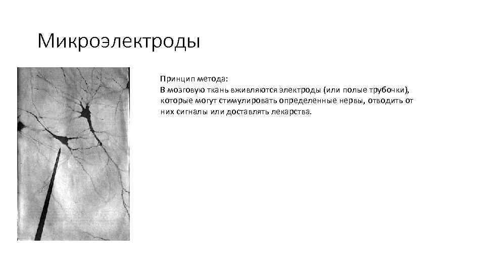 Микроэлектроды Принцип метода: В мозговую ткань вживляются электроды (или полые трубочки), которые могут стимулировать
