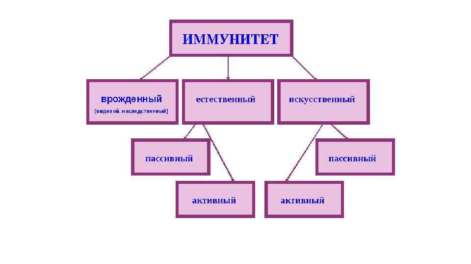 Иммунитет врожденный и приобретенный схема