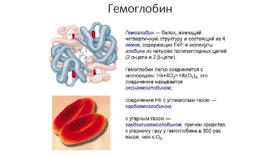 Гемоглобин 