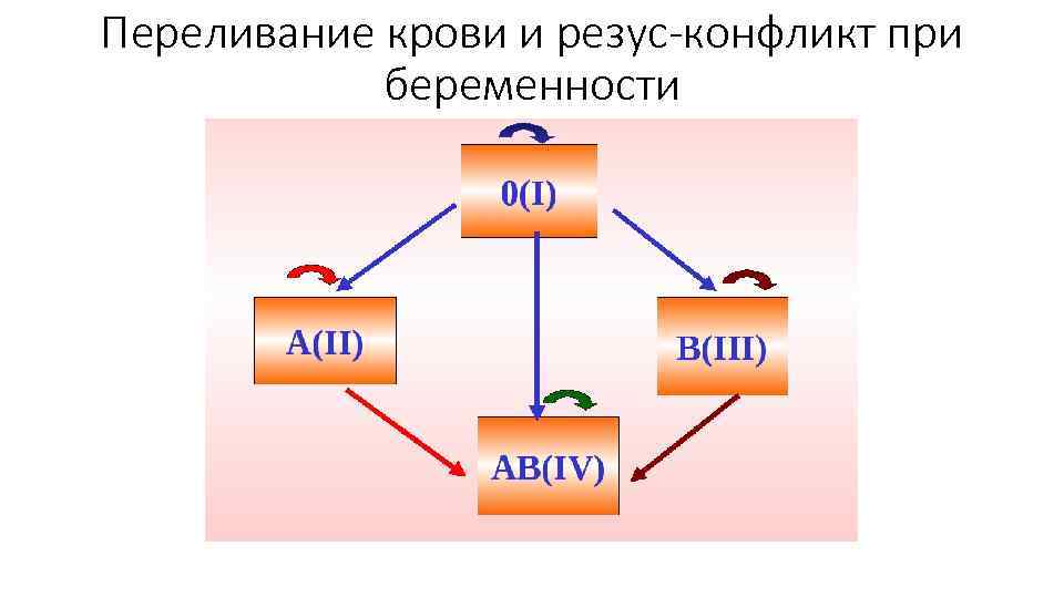 Переливание крови и резус-конфликт при беременности 