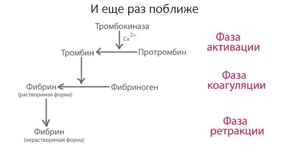 И еще раз поближе 