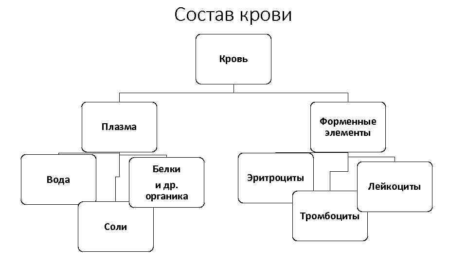 Состав крови Кровь Форменные элементы Плазма Белки и др. органика Вода Соли Эритроциты Тромбоциты