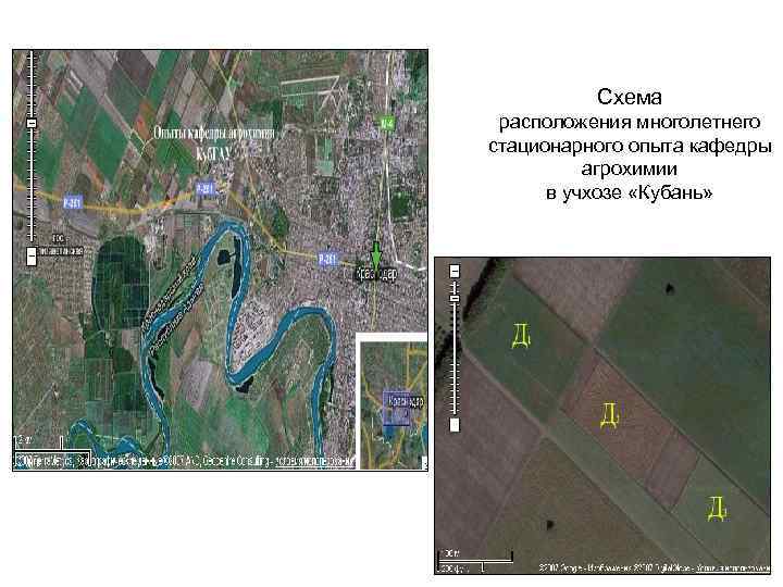 Схема расположения многолетнего стационарного опыта кафедры агрохимии в учхозе «Кубань» 