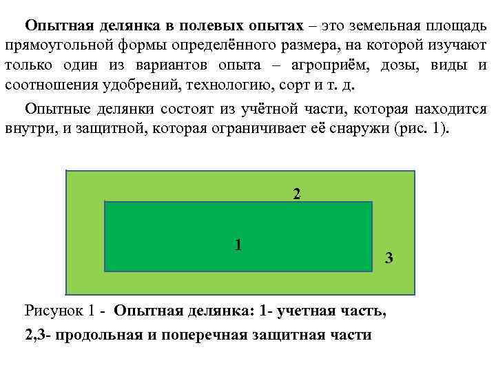 Часть площади опытного участка включающего делянки с полным набором вариантов схемы опыта