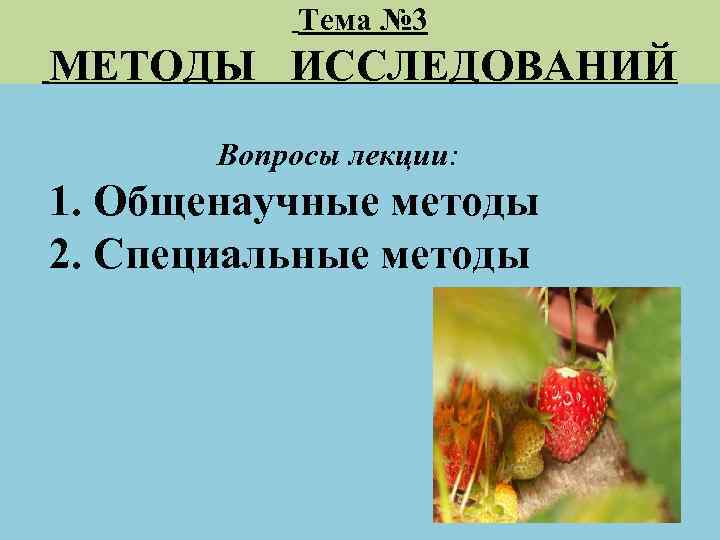 Тема № 3 МЕТОДЫ ИССЛЕДОВАНИЙ Вопросы лекции: 1. Общенаучные методы 2. Специальные методы 