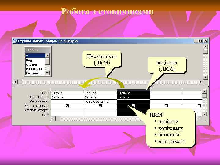 Робота з стовпчиками Перетягнути (ЛКМ) виділити (ЛКМ) ПКМ: • вирізати • копіювати • вставити
