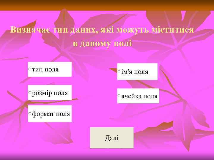 Визначає тип даних, які можуть міститися в даному полі 