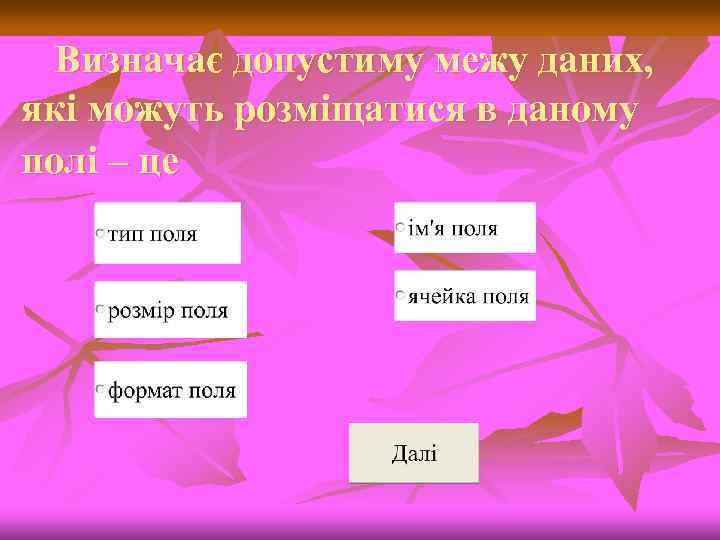 Визначає допустиму межу даних, які можуть розміщатися в даному полі – це 