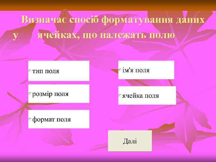 Визначає спосіб форматування даних у ячейках, що належать полю 