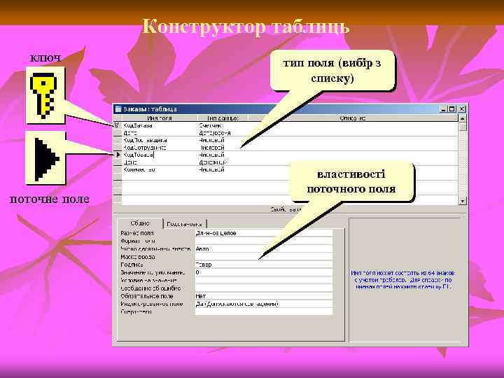 Конструктор таблиць ключ поточне поле тип поля (вибір з списку) властивості поточного поля 