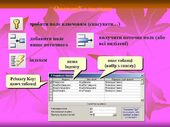 Операції з полями зробити поле ключовим (скасувати…) добавити поле вище поточного індекси Primary Key: