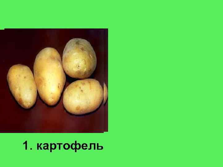1. картофель 