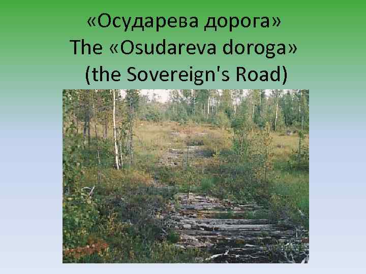  «Осударева дорога» The «Osudareva doroga» (the Sovereign's Road) 