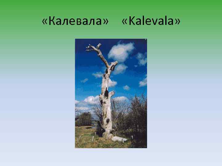  «Калевала» «Kalevala» 