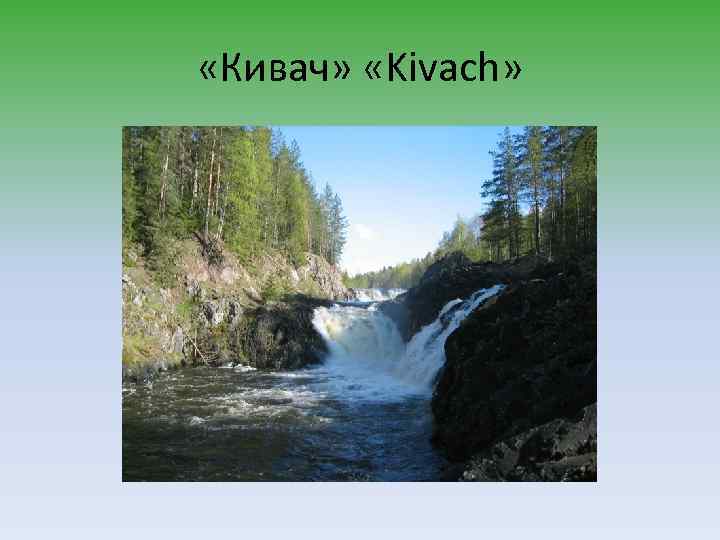  «Кивач» «Kivach» 