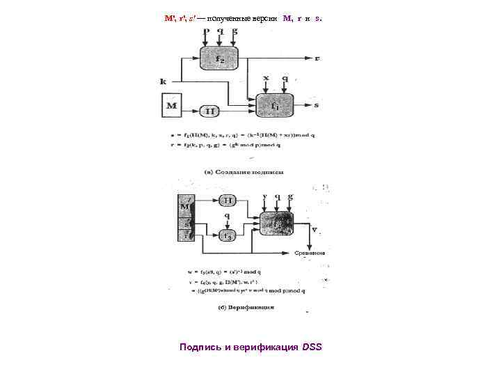 М', r', s' — полученные версии М, r и s. Подпись и верификация DSS