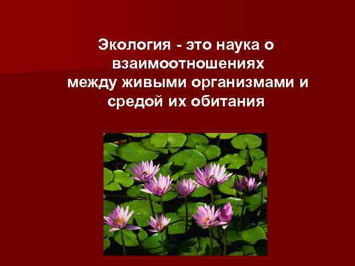 Экология - это наука о взаимоотношениях между живыми организмами и средой их обитания 