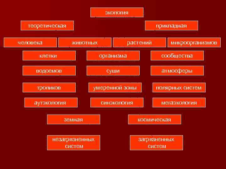экология теоретическая человека прикладная животных растений микроорганизмов клетки организма сообщества водоемов суши атмосферы тропиков