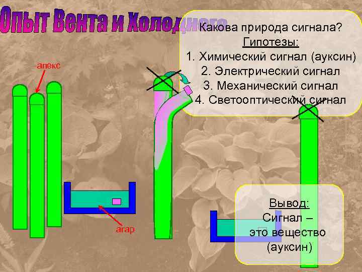 Какова среда