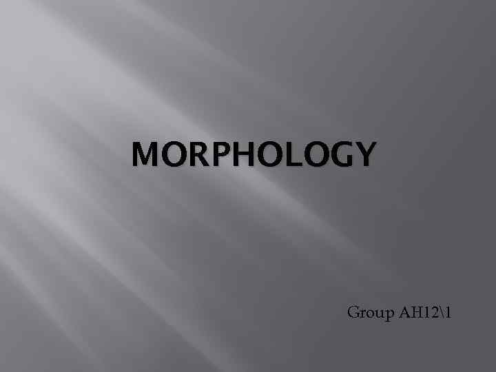 MORPHOLOGY Group АН 121 