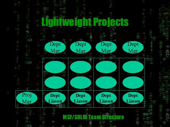 Lightweight Projects Dept Mgr Proj Mgr Dept Liason Dept Liason MSF/SOLID Team Structure 