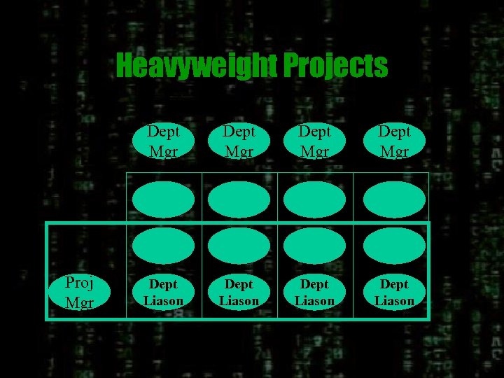 Heavyweight Projects Dept Mgr Proj Mgr Dept Liason Dept Liason 