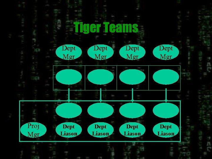 Tiger Teams Dept Mgr Proj Mgr Dept Liason Dept Liason 