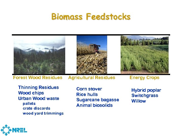 Biomass Feedstocks Forest Wood Residues Thinning Residues Wood chips Urban Wood waste pallets crate