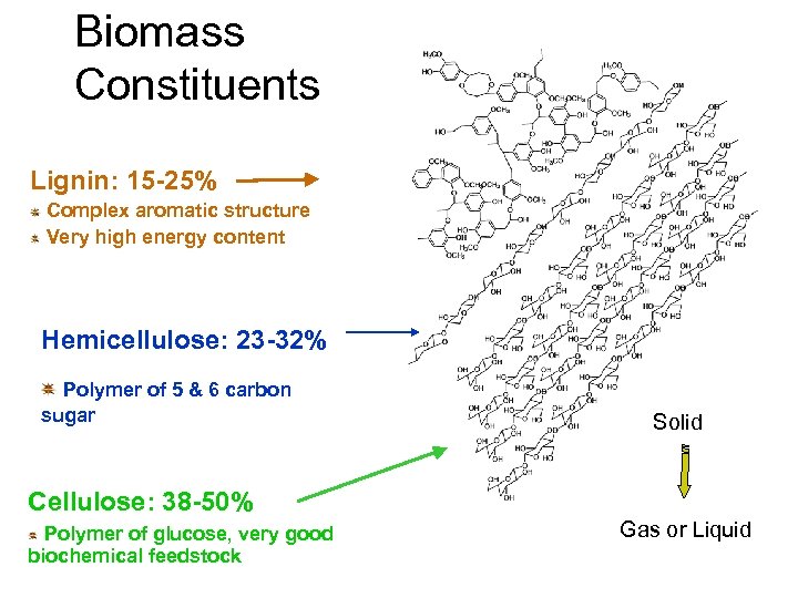 Biomass Constituents Lignin: 15 -25% Complex aromatic structure Very high energy content Hemicellulose: 23