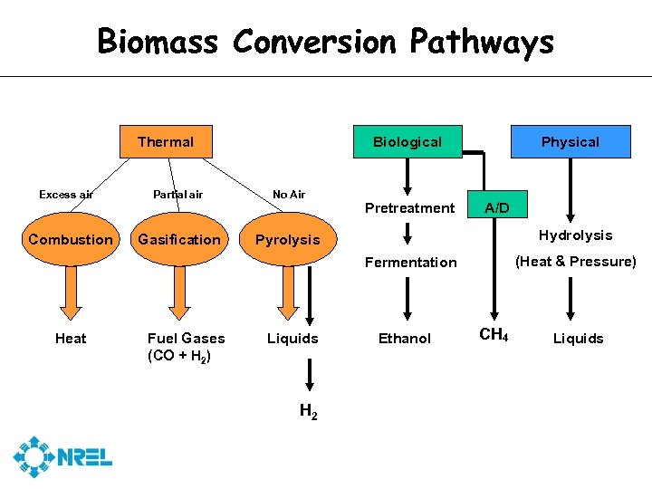 Biomass Conversion Pathways Thermal Excess air Combustion Biological Partial air No Air Gasification Physical