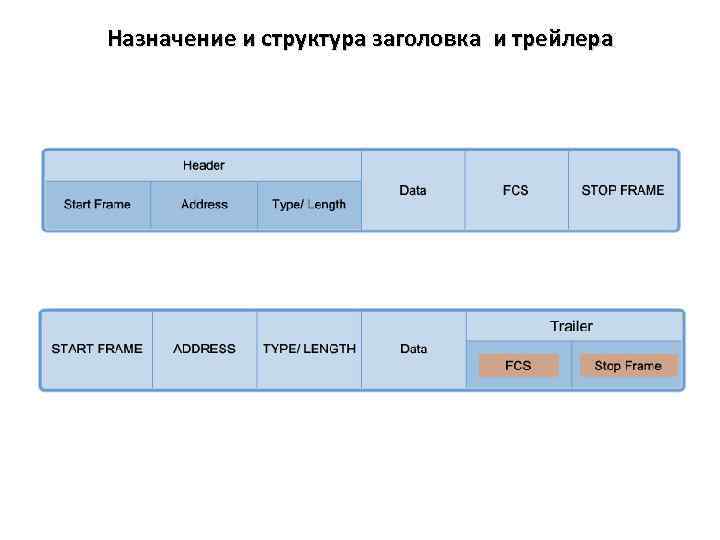 Назначение и структура заголовка и трейлера 