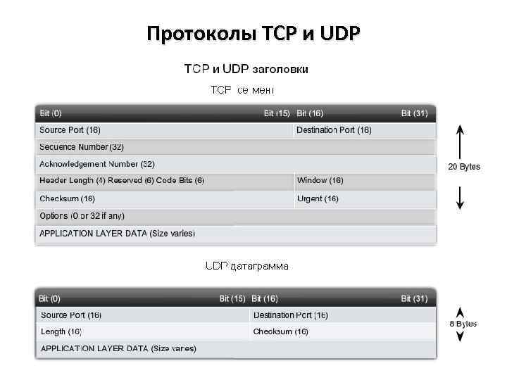 Протоколы TCP и UDP 