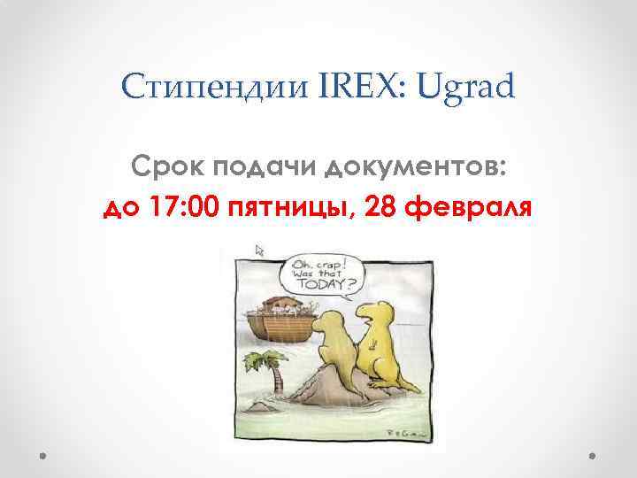 Стипендии IREX: Ugrad Срок подачи документов: до 17: 00 пятницы, 28 февраля 