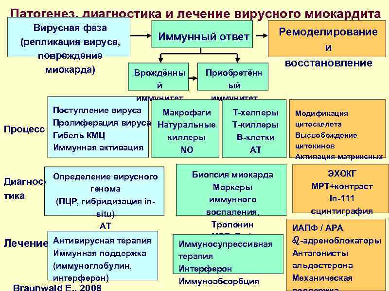 Патогенез, диагностика и лечение вирусного миокардита Вирусная фаза (репликация вируса, повреждение миокарда) Иммунный ответ