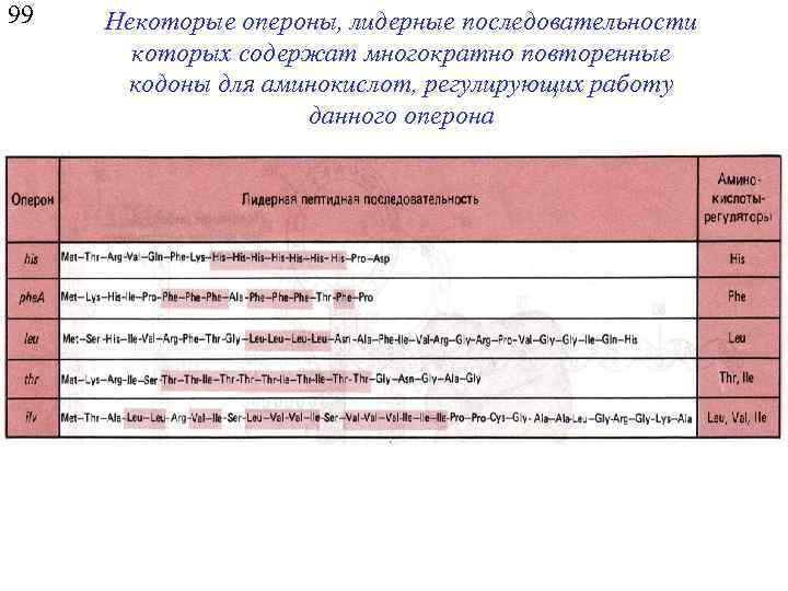99 Некоторые опероны, лидерные последовательности которых содержат многократно повторенные кодоны для аминокислот, регулирующих работу