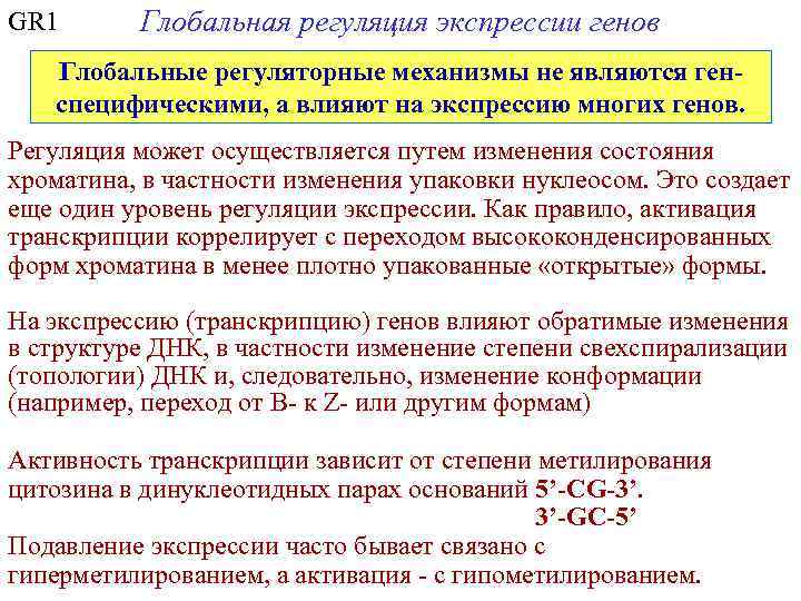 GR 1 Глобальная регуляция экспрессии генов Глобальные регуляторные механизмы не являются генспецифическими, а влияют