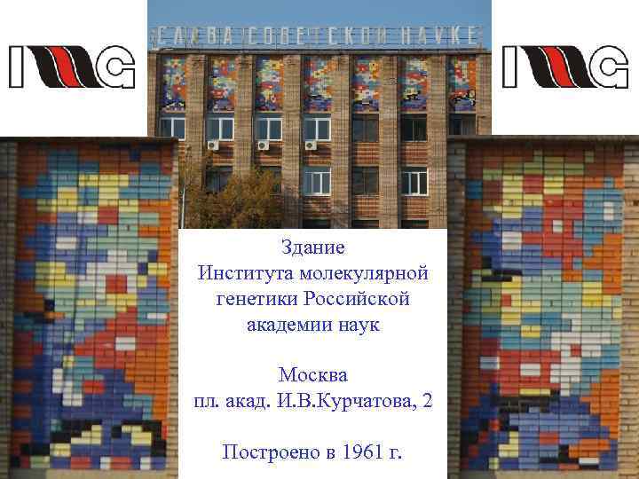 Здание Института молекулярной генетики Российской академии наук Москва пл. акад. И. В. Курчатова, 2