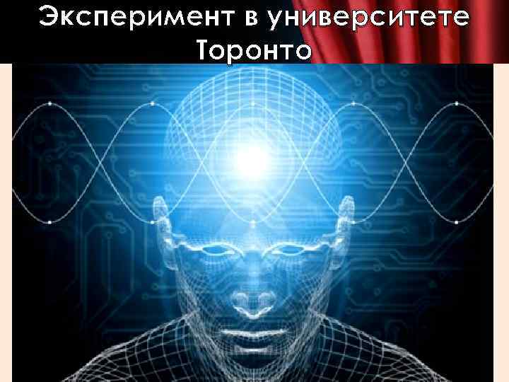 Эксперимент в университете Торонто 