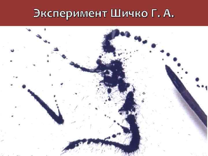 Эксперимент Шичко Г. А. 