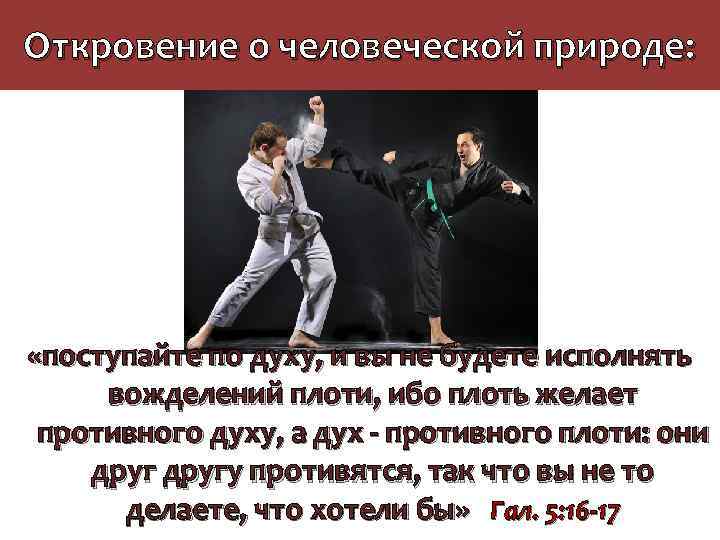 Откровение о человеческой природе: «поступайте по духу, и вы не будете исполнять вожделений плоти,